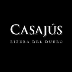 Diseño sin título - 2025-01-28T203156.894